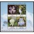 India HB 110 2013 Flores MNH