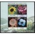 India HB 111 2013 Flores MNH