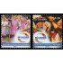 El Salvador 1862/63 2015 Mi cultura mi derecho MNH