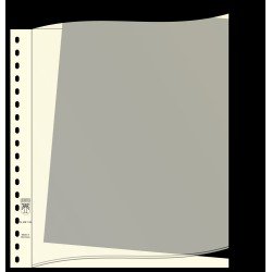Lindner 802012 Hojas descriptivas, Formato 296 x 242 mm, negro, 100 piezas Lindner 802012 Hojas descriptivas, Formato 296 x 242 mm, negro, 100 piezas