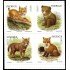 Suecia Sweden 2477/80 2005 Fauna Cachorros de animales salvajes Autoadhesivos