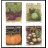 Suecia Sweden 2636/39 2008 Flora Legumbres y frutas de agricultura orgánica Autoadhesivos