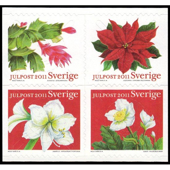 Suecia Sweden 2830/33 2011 Flora Flores de Navidad Autoadhesivos Suecia Sweden 2830/33 2011 Flora Flores de Navidad Autoadhesivos