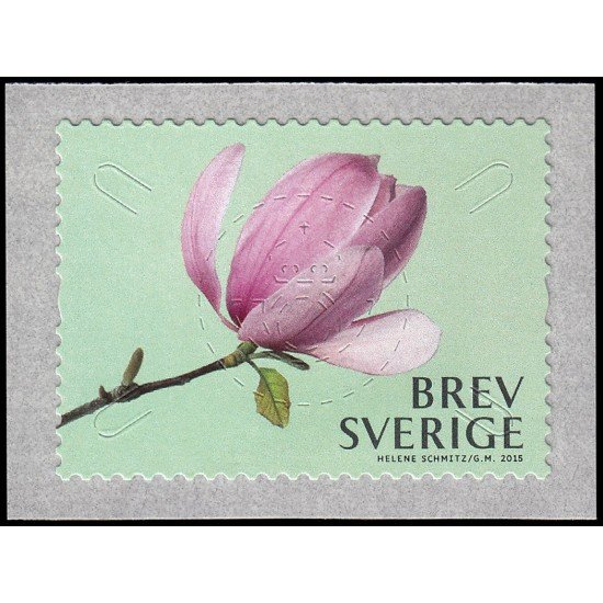 Suecia Sweden 3033A 2015 Flora Flores Magnolias Autoadhesivo Suecia Sweden 3033A 2015 Flora Flores Magnolias Autoadhesivo