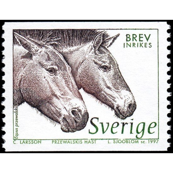 Suecia Sweden 1973 1997 Fauna del arco norte MNH Suecia Sweden 1973 1997 Fauna del arco norte MNH