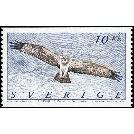 Suecia Sweden 2256 2002 Fauna Pájaros Águila pescadora MNH Suecia Sweden 2256 2002 Fauna Pájaros Águila pescadora MNH