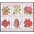 Suecia Sweden 1625/30 1990 Navidad Flores de temporada Rojo y verde MNH