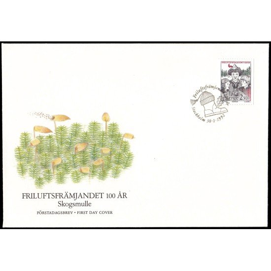 Suecia Sweden SPD FDC 1690 1992 centenario de la Asociación de la vida al aire Sobre primer día Suecia Sweden SPD FDC 1690 1992 centenario de la Asociación de la vida al aire Sobre primer día