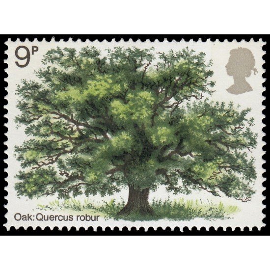 Gran Bretaña 678 1972 Flora Árboles británicos MNH Gran Bretaña 678 1972 Flora Árboles británicos MNH