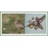 Irlanda 2024 Cartera Oficial Monedas € euro Biodiversidad en Irlanda Zarapito