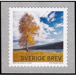 Suecia Sweden 3106 2016 Árboles con hojas de otoño Autoadhesivo Suecia Sweden 3106 2016 Árboles con hojas de otoño Autoadhesivo
