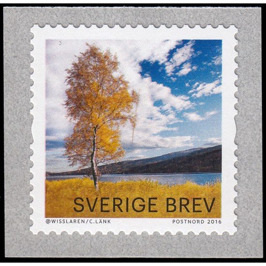 Suecia Sweden 3106 2016 Árboles con hojas de otoño Autoadhesivo Suecia Sweden 3106 2016 Árboles con hojas de otoño Autoadhesivo