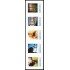 Suecia Sweden 3151/55 2017 Mis sellos Autoadhesivos
