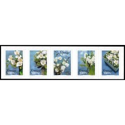 Suecia Sweden 3179/83 2017 Flores de invierno Autoadhesivos Suecia Sweden 3179/83 2017 Flores de invierno Autoadhesivos