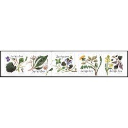 Suecia Sweden 3196/00 2018 Flora Plantas comestibles Autoadhesivos Suecia Sweden 3196/00 2018 Flora Plantas comestibles Autoadhesivos
