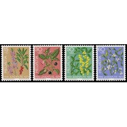 Suiza Switzerland 972/75 1974 Pro juventud Plantas venenosas del bosque MNH Suiza Switzerland 972/75 1974 Pro juventud Plantas venenosas del bosque MNH