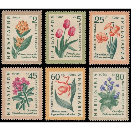 Bulgaria  Bulgary 1018/23 1960 Protección de la naturaleza Flores MNH