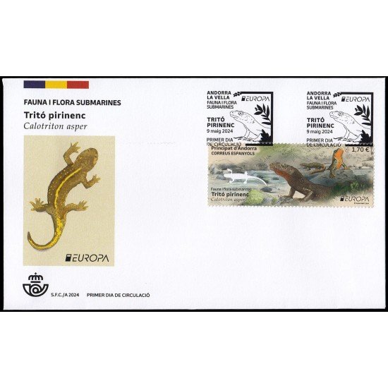 Andorra Española 558 2024 Fauna y flora submarinas Tritó pirinenc SPD Sobre Primer Día Andorra Española 558 2024 Fauna y flora submarinas Tritó pirinenc SPD Sobre Primer Día