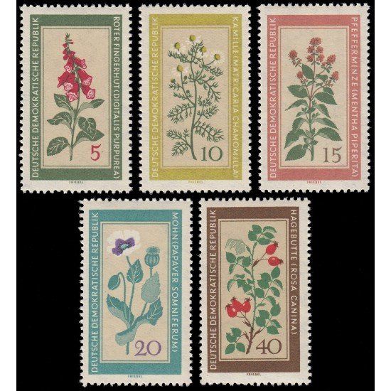 Alemania Oriental 471/75 1960 Plantas medicinales Flora MNH Alemania Oriental 471/75 1960 Plantas medicinales Flora MNH