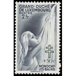 Luxemburgo 333 1940 Ayuda a los niños Fondo contra la tuberculosis MNH Luxemburgo 333 1940 Ayuda a los niños Fondo contra la tuberculosis MNH