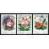 FL1-S Italia Italy Nº 1477/79  1981 Flores de plantas ornamentales-Lujo
