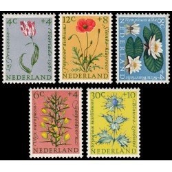 Holanda Netherlands 719/23 1960 Obras de beneficencia Serie de verano Flores MNH Holanda Netherlands 719/23 1960 Obras de beneficencia Serie de verano Flores MNH