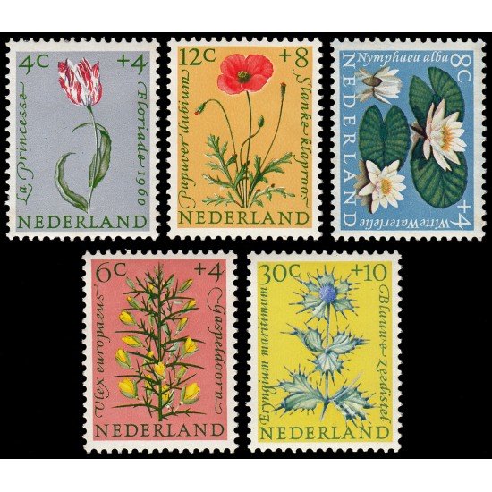 Holanda Netherlands 719/23 1960 Obras de beneficencia Serie de verano Flores MNH Holanda Netherlands 719/23 1960 Obras de beneficencia Serie de verano Flores MNH