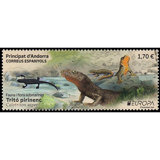 Andorra Española 558 2024 Fauna y flora submarinas Tritón pirenaico MNH Andorra Española 558 2024 Fauna y flora submarinas Tritón pirenaico MNH
