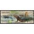 Andorra Española 558 2024 Fauna y flora submarinas Tritón pirenaico MNH