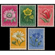 Holanda Netherlands 569/73 1952 Obras de beneficencia Serie de verano MH
