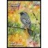 Andorra Española 541 2023 Fauna Cotxa fumada MNH