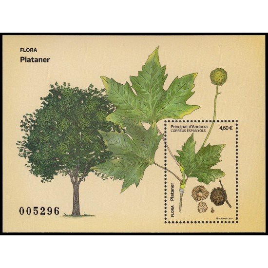 Andorra Española 545 2023 Flora Platanero MNH Andorra Española 545 2023 Flora Platanero MNH