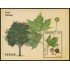 Andorra Española 545 2023 Flora Platanero MNH