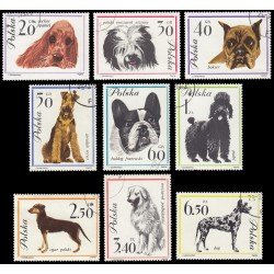 Polonia Poland 1232/40 1963 Perros de raza Matasellos a favor Polonia Poland 1232/40 1963 Perros de raza Matasellos a favor