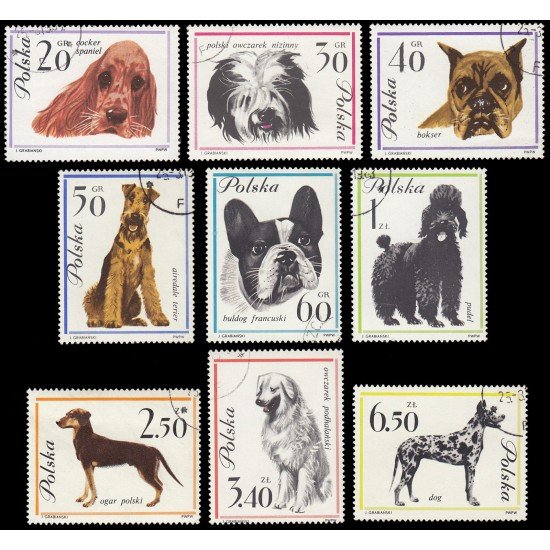 Polonia Poland 1232/40 1963 Perros de raza Matasellos a favor Polonia Poland 1232/40 1963 Perros de raza Matasellos a favor