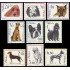 Polonia Poland 1232/40 1963 Perros de raza Matasellos a favor
