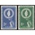 Naciones Unidas New York 38/39 1955 Día de los derechos humanos Llama de la libertad MNH