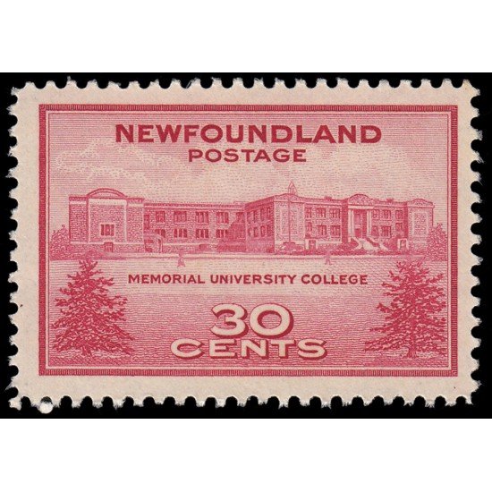 Terranova Newfoundland 228 1943 Colegio de Saint Johns MNH Terranova Newfoundland 228 1943 Colegio de Saint Johns MNH