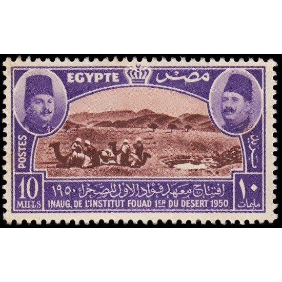 Egipto 276 1950 Inauguración del Instituto Fouad primero del desierto MNH Egipto 276 1950 Inauguración del Instituto Fouad primero del desierto MNH