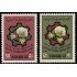 Siria Sirya 181/82 1963 7º festival del algodón en Alepo MNH