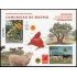 España Spain 5811 2025 Gastronomía Comunidad de Madrid MNH