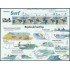 España Pliego Premium 173 2025 Deportes Surf MNH