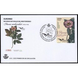 España Spain 5847 2025 Euromed Recursos naturales del Mediterráneo SPD Sobre Primer Día España Spain 5847 2025 Euromed Recursos naturales del Mediterráneo SPD Sobre Primer Día