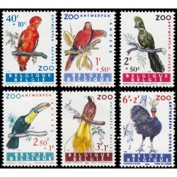Bélgica 1216/21 1962 Obras filantrópicas Fauna Pájaros del zoo de Amberes MNH Bélgica 1216/21 1962 Obras filantrópicas Fauna Pájaros del zoo de Amberes MNH