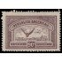 Argentina A 14 1928 Sobretasa República Argentina MH