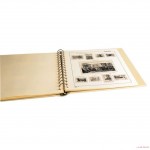 España Hojas Pardo 132599 año 2024 sin montar España Hojas Pardo 132599 año 2024 sin montar