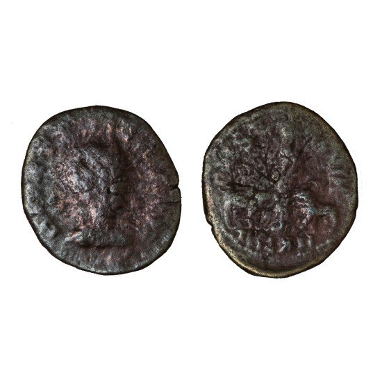 Moneda Imperio Romano Sestercio provincial Herennia Etruscilla 250-251 d.C. Moneda Imperio Romano Sestercio provincial Herennia Etruscilla 250-251 d.C.