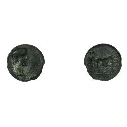Moneda Imperio Romano Assarion Augusto 27 a.C. – 14 d.C. Moneda Imperio Romano Assarion Augusto 27 a.C. – 14 d.C.