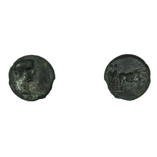 Moneda Imperio Romano Assarion Augusto 27 a.C. – 14 d.C. Moneda Imperio Romano Assarion Augusto 27 a.C. – 14 d.C.