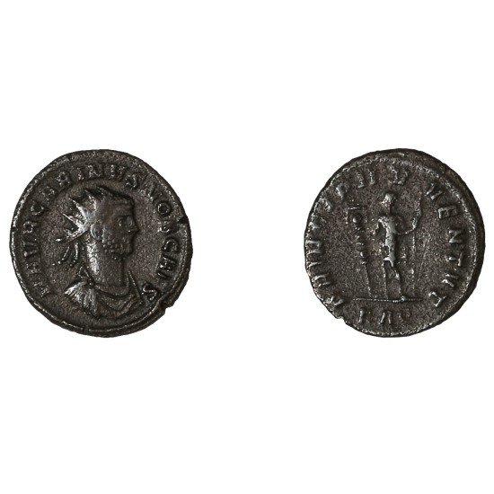 Moneda Imperio Romano Antoniniano Carino 282 d.C.